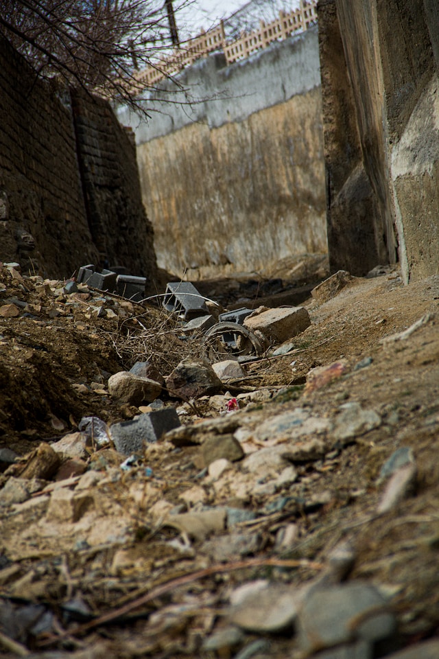 Gaza/Palestine: States have a Duty to Prevent Genocide